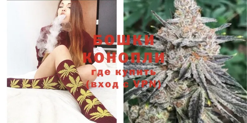 Конопля THC 21%  где купить   Абинск 